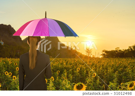 business woman holding multicolored umbrella in sunflower field 31012498
