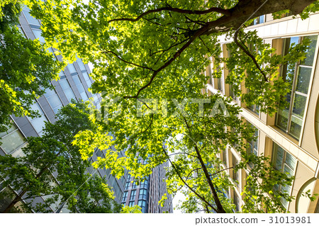 Fresh green Marunouchi district 31013981