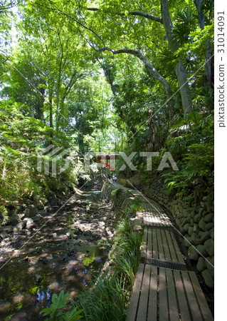 Todoroki Valley Todoroki Valley 31014091