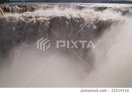 Iguazu Falls 31014318