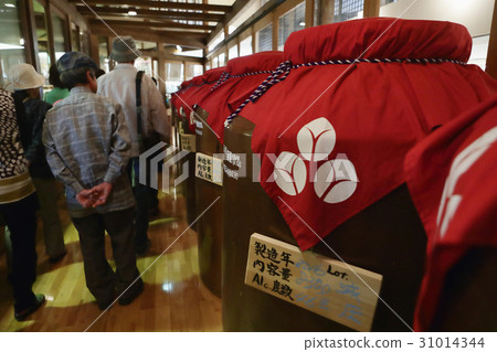 Factory tour of chicory shochu 31014344