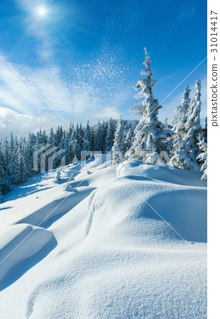 Snowdrifts on winter snow covered mountainside 31014417