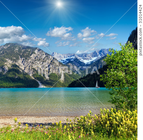 Plansee summer sunshiny landscape (Austria). 31014424