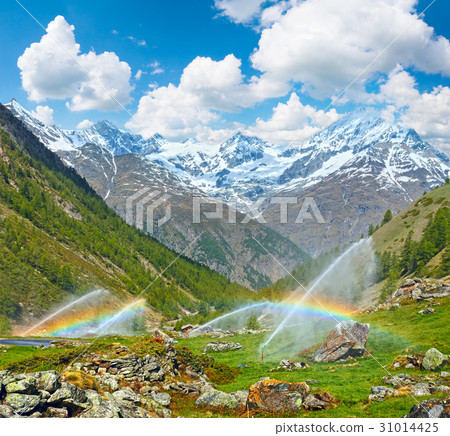 Rainbows in irrigation water spouts, Alps mountain Rainbows in irrigation water spouts, Alps mountain 31014425