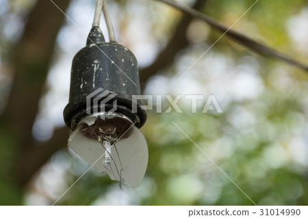 Halogen bulbs hanging in a tree during Halogen bulbs hanging in a tree during 31014990