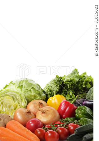 Image of a group of vegetables 31015023
