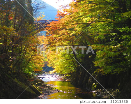 用Oshie Valley著色 31015886