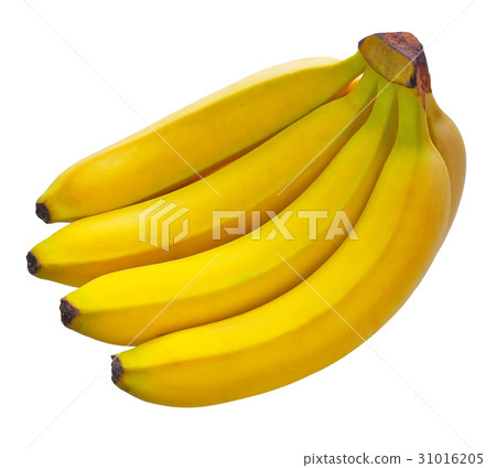 Bananas Bananas 31016205