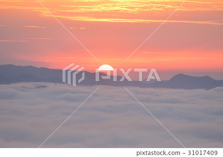 Sea of clouds Sea of clouds 31017409