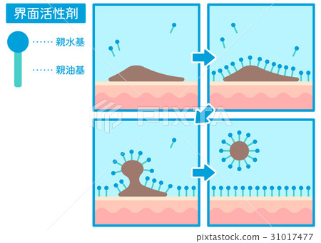 A mechanism set (dark skin) to remove dirt with a surfactant (skin) A mechanism set (dark skin) to remove dirt with a surfactant (skin) 31017477