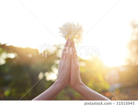 Respect and pray with flower on nature background 31018945