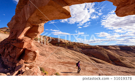 Arsenic Arch 31019378
