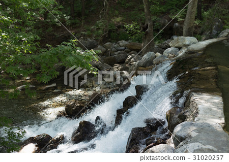 Mountain river with powerful water flow Mountain river with powerful water flow 31020257