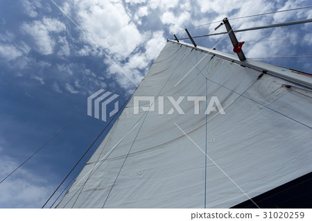 White main sail  31020259