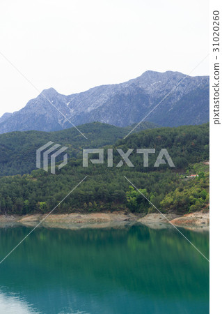 Mountains covered by pine forests descending lake Mountains covered by pine forests descending lake 31020260