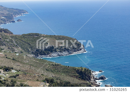 Mediterranean seascape shot on sunny day Mediterranean seascape shot on sunny day 31020265