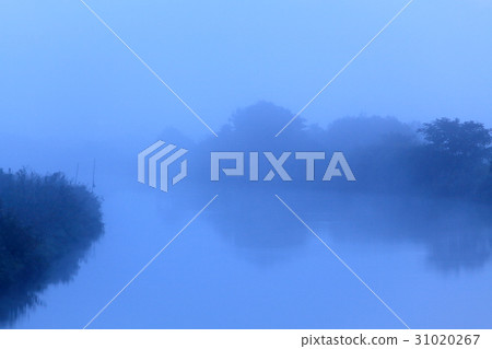 Morning morning Morning morning 31020267