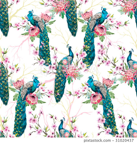 Watercolor peacock vector pattern 31020437