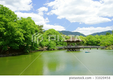 奈良公園·鮮綠色垃圾房8 31020458