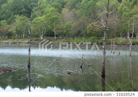 早上女神湖 早上女神湖 31020524