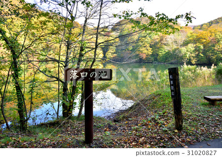 Aomori Prefecture Shirakami mountain area Fall of the Twelve Lakes Autumn fall opening pond 31020827