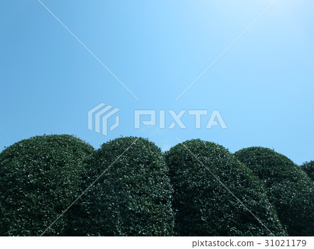 Blue sky with big fence 31021179