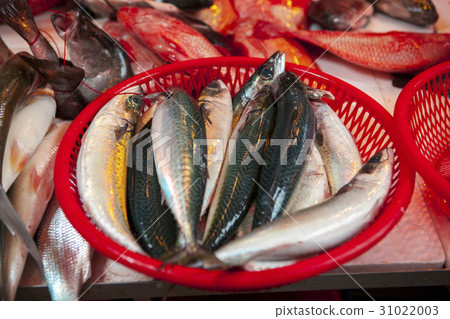 魚市場 ，水產，生鮮,魚市場、魚、新鮮な、Fish market, aquatic products 31022003