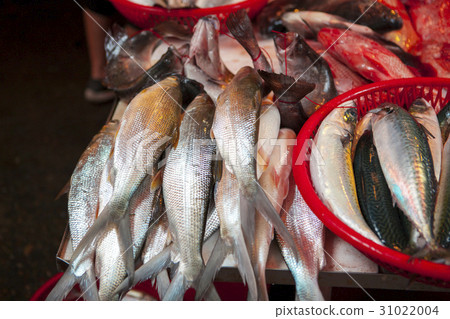 魚市場 ，水產，生鮮,魚市場、魚、新鮮な、Fish market, aquatic products 31022004