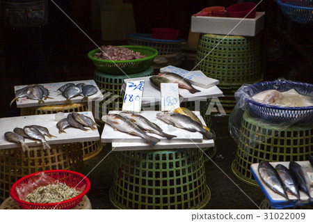 魚市場 ，水產，生鮮,魚市場、魚、新鮮な、Fish market, aquatic products 31022009
