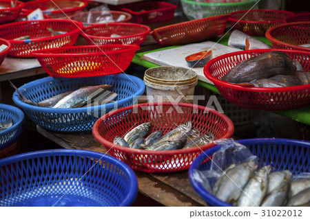 魚市場 ,水產,生鮮,魚市場、魚、新鮮な、Fish market, aquatic products 魚市場 ,水產,生鮮,魚市場、魚、新鮮な、Fish market, aquatic products 31022012