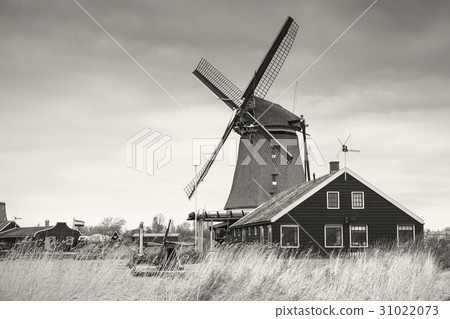 Windmill in Zaanse Schans town 31022073