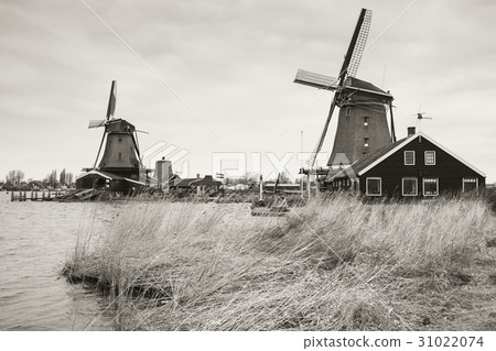 Windmills in Zaanse Schans town, retro 31022074