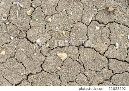 Barren ground, broken soil, dry soil in summer 31022292