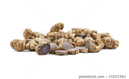 black galingale root isolated on white background black galingale root isolated on white background 31022561
