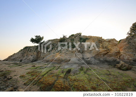 天河路在黃昏Tonosho鎮,香川縣 天河路在黃昏Tonosho鎮,香川縣 31022819