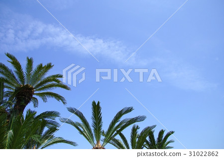 Image of Tropical Resort 31022862