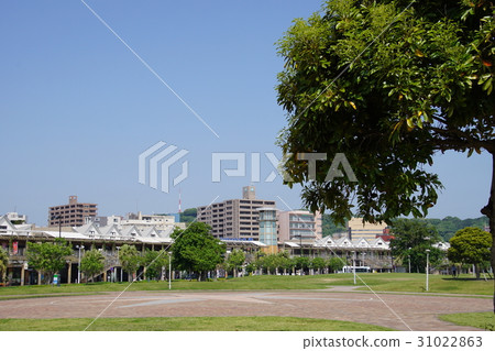 Dolphin port 31022863