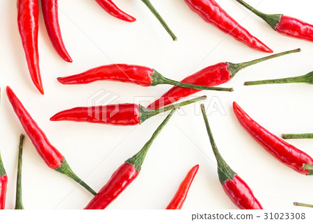 red hot chili peppers, popular spices concept - red hot chili peppers, popular spices concept - 31023308