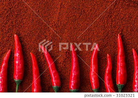 red hot chili peppers, popular spices concept - red hot chili peppers, popular spices concept - 31023321