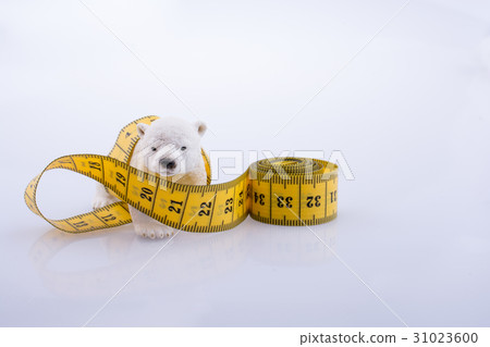 Polar bear surrounded by Measuring tape 31023600