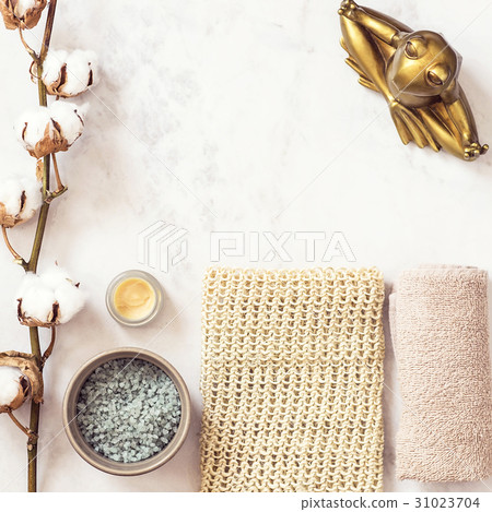 Spa cosmetics and meditating frog Spa cosmetics and meditating frog 31023704
