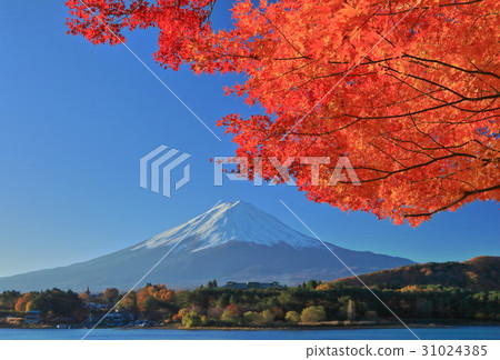 Kawaguchiko和富士山在秋葉 31024385