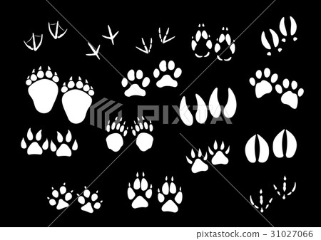 Vector imprint icons of animal or birds foot paws 31027066