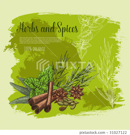 Vector poster of spices and herb seasonings Vector poster of spices and herb seasonings 31027122