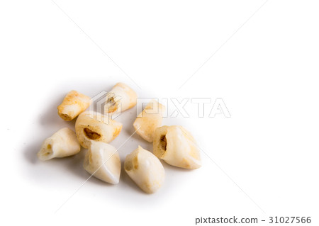 Collection of extracted milk teeth Collection of extracted milk teeth 31027566