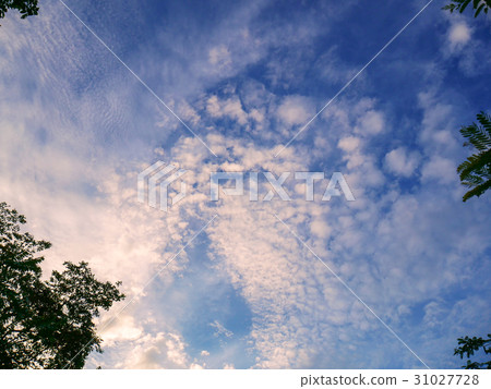 Blue sky with cloud 31027728