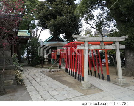 品川神社ANA Inabe Shrine 品川神社ANA Inabe Shrine 31027803