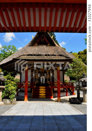 Important Cultural Property Yoshida Shrine Saikai Ohimoto 31027956
