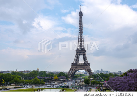 The sunny Eiffel Tower 31028162