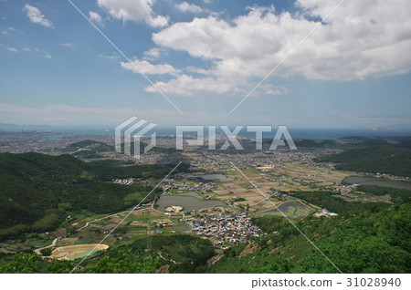 From Mt. 31028940